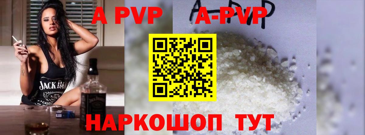 A PVP СК КРИС Липецк