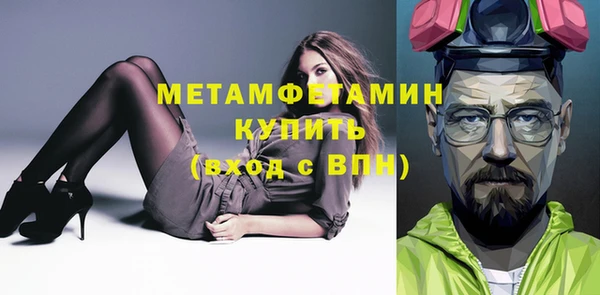 индика Козельск
