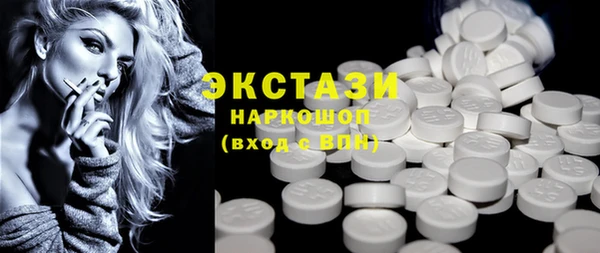 индика Козельск