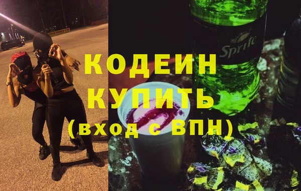 индика Козельск
