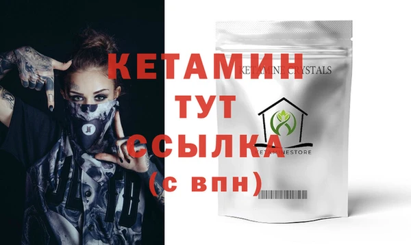 индика Козельск