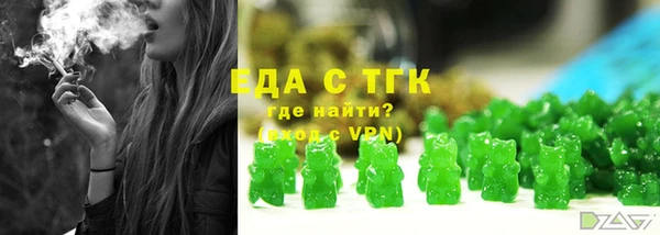 индика Козельск