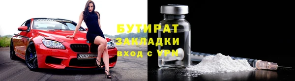 индика Козельск