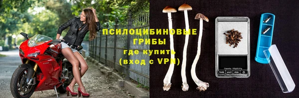 меф Корсаков