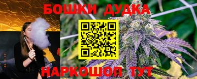 гашик Краснодар