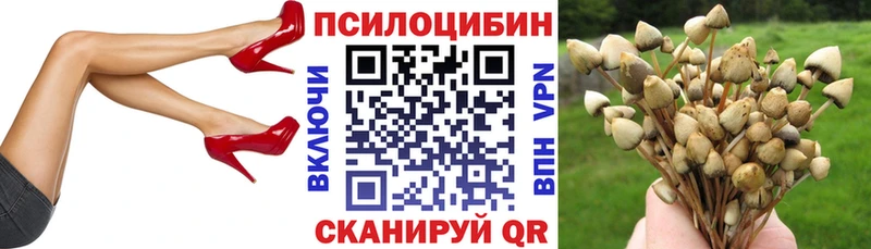 Псилоцибиновые грибы мухоморы  Липецк 