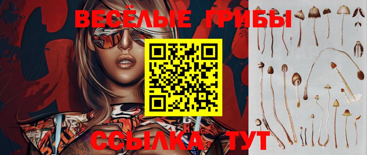 Галлюциногенные грибы Psilocybine cubensis  Вход с VPN  Псилоцибиновые грибы прущие грибы  Липецк 