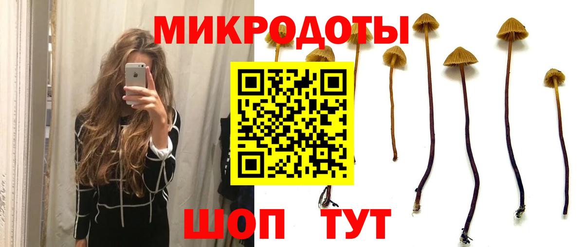 Псилоцибиновые грибы прущие грибы Липецк